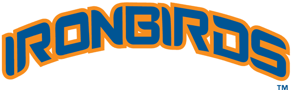 Aberdeen IronBirds 2002-2009 Wordmark Logo iron on paper